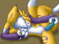 Yiffy Hentai Digimon - Renamon - Renamon Dildo.jpg